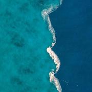 ho1999的个人资料头像