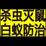 东莞强瑞头像
