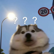 fsjcfjc的个人资料头像