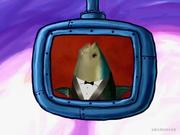 Inject的个人资料头像