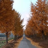 用户6490556225138头像