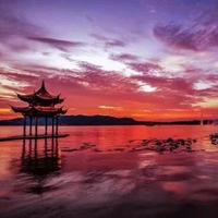 杭州博闻汽车服务有限公司头像