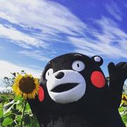 木系石的个人资料头像