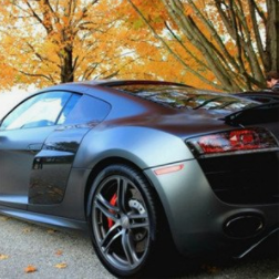 老王汽车解说菌头像