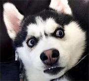 code6379的个人资料头像