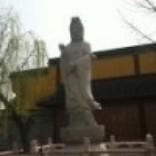 杏花疏影921头像