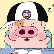 zz556的个人资料头像