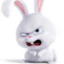 孟在掘金57804的个人资料头像