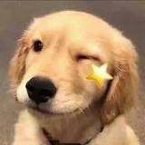 是夜灯火不眠头像