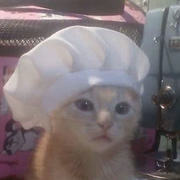 脑袋也痛痛的唉的个人资料头像