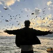 伍六七948的个人资料头像