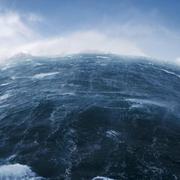 lyww的个人资料头像