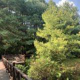 心不狠站不稳19511430头像