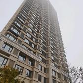 老康来咯头像