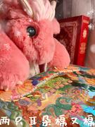 抽屉里有自己拿的个人资料头像