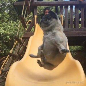 新大陆的白风的头像