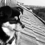 汽车美容123456头像