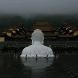 高冷沙滩DxG头像