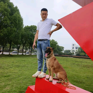 小爷〖马犬〗头像