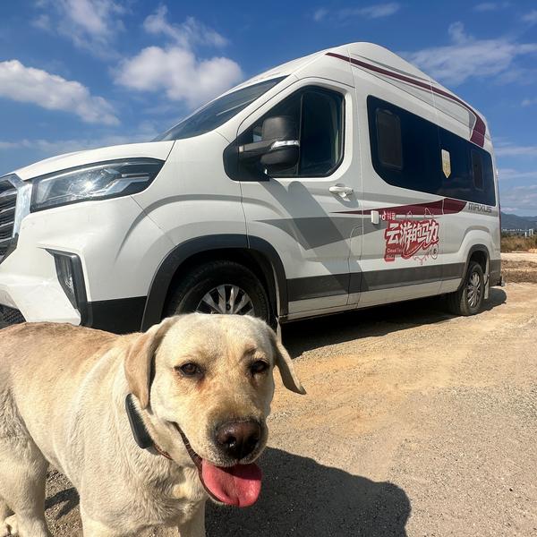 云游的马力头像