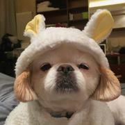 Fresher的个人资料头像