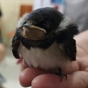 yrdmm的个人资料头像