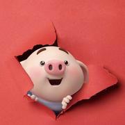 JXF的个人资料头像