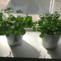 用户7033036824274头像