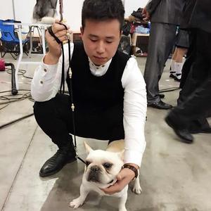 宠物DogShow牵引赛绳头像
