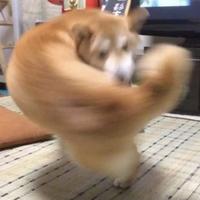 银煌头像