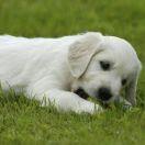 黄斌重名了的个人资料头像