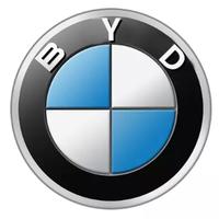 努力的小捞D头像