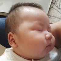 太好玩了吧头像