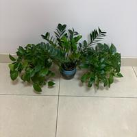 用户2396541890103头像