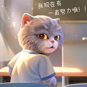 Afrat的个人资料头像