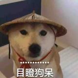 巍巍昆仑67096133头像