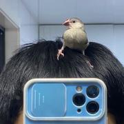 瞿浩亮的个人资料头像