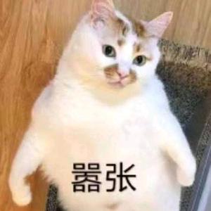 一只猫条头像
