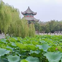 丰吹过的雨天头像