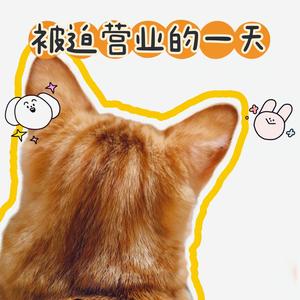 眯眯是橘猫啊头像