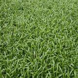 劳动最光荣165318923头像