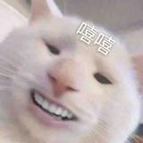 李某人Z1206头像