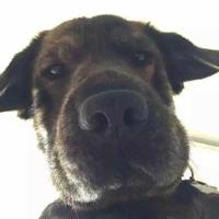 用户1019994732770158头像