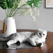 明天769的个人资料头像