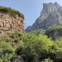 各种规格泡沫箱头像