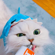 Ivan李岩的个人资料头像