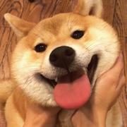 iBUYPOWER的个人资料头像