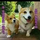 王勇6662头像