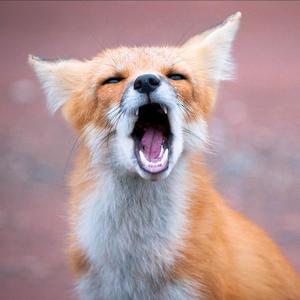 华夏妖物志头像