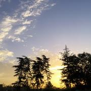 hmz121的个人资料头像